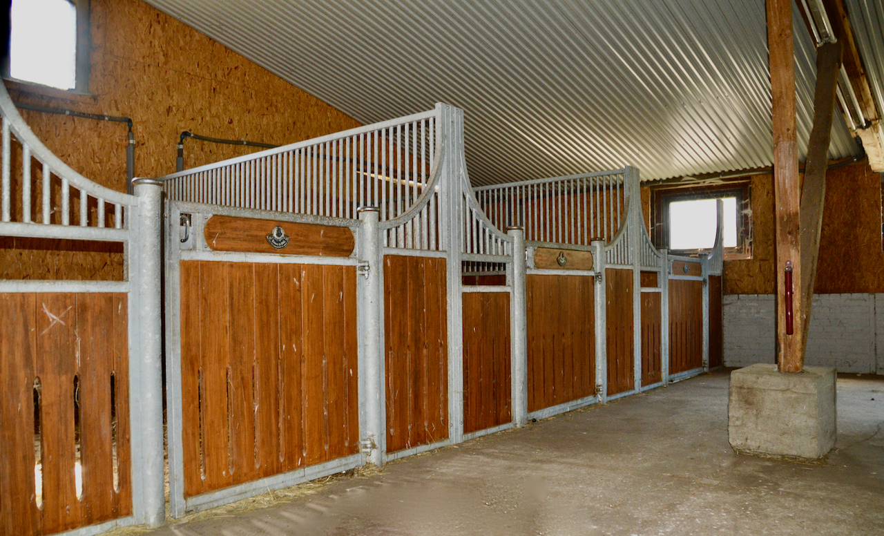 Reitanlage Niedersachsen