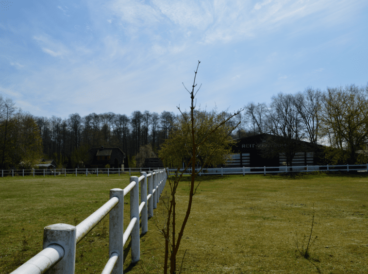 Reitanlage Niedersachsen
