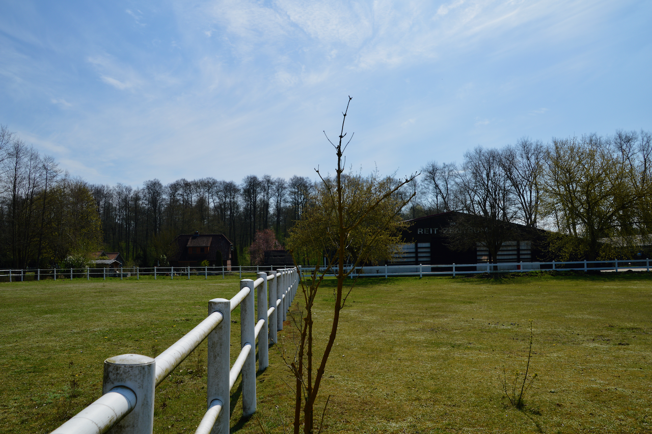 Reitanlage Niedersachsen