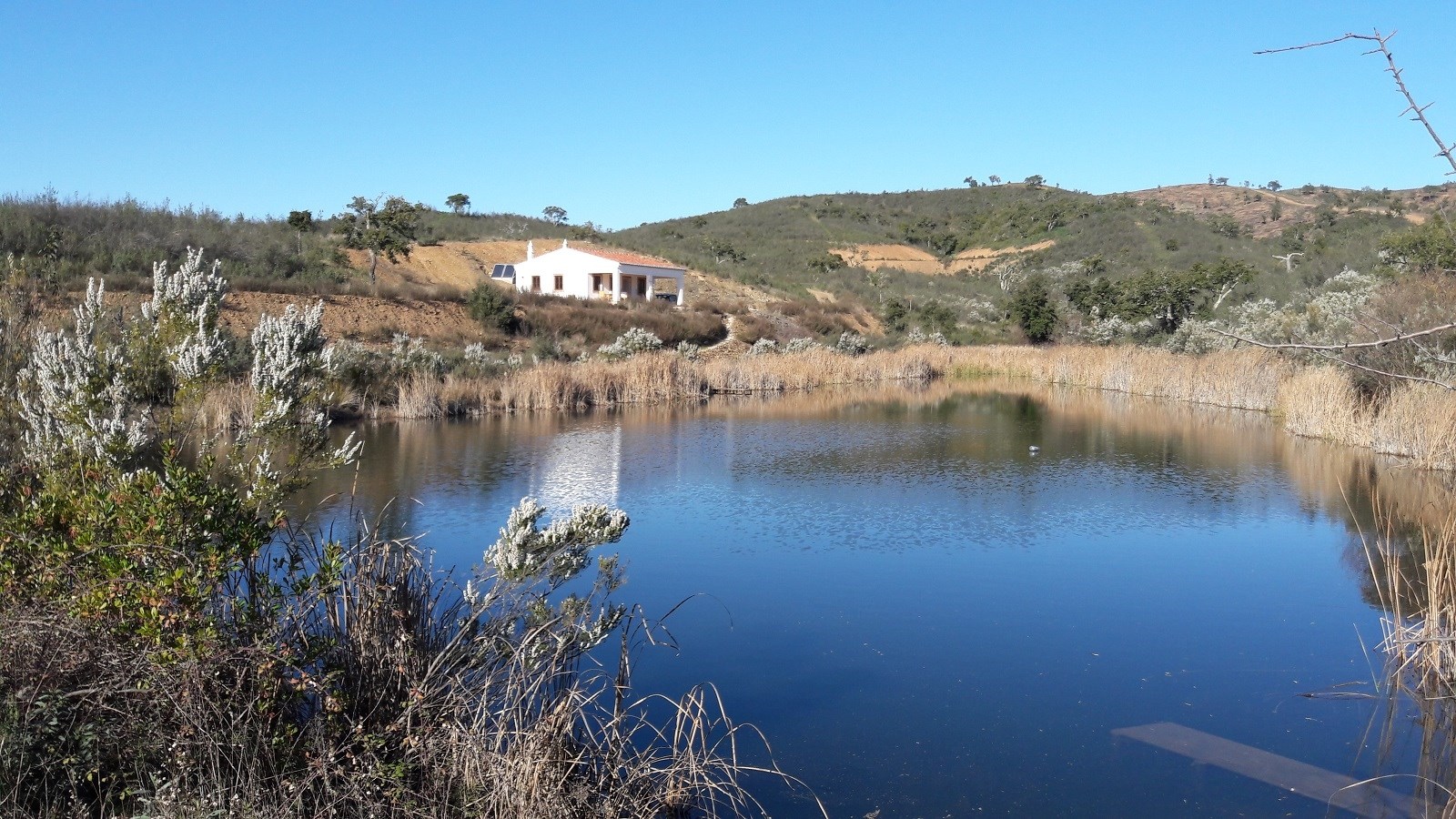 Gestüt in Portugal
