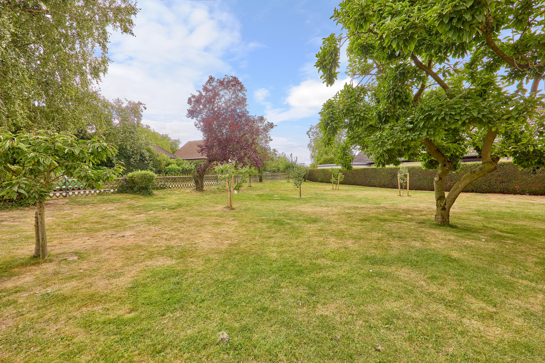 16 Garten am Wohnhaus