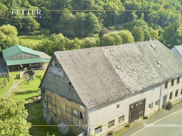 Pferdehof in Rheinland-Pfalz mit 8 Pferdeboxen und kleiner Halle in Niederhambach!