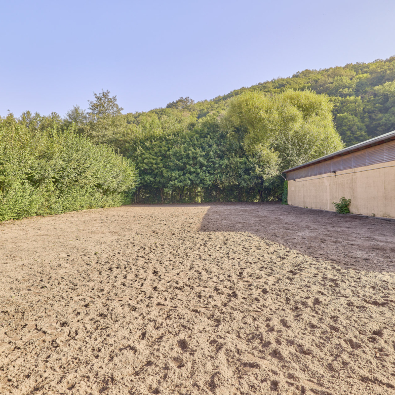 Pferdehof in Rheinland-Pfalz mit 8 Pferdeboxen und kleiner Halle in Niederhambach!