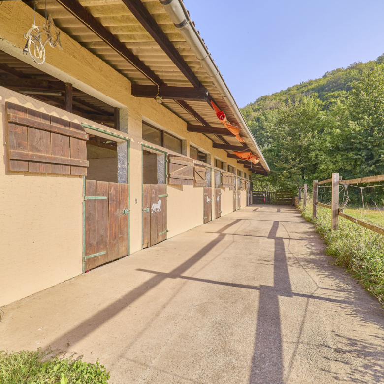 Pferdehof in Rheinland-Pfalz mit 8 Pferdeboxen und kleiner Halle in Niederhambach!