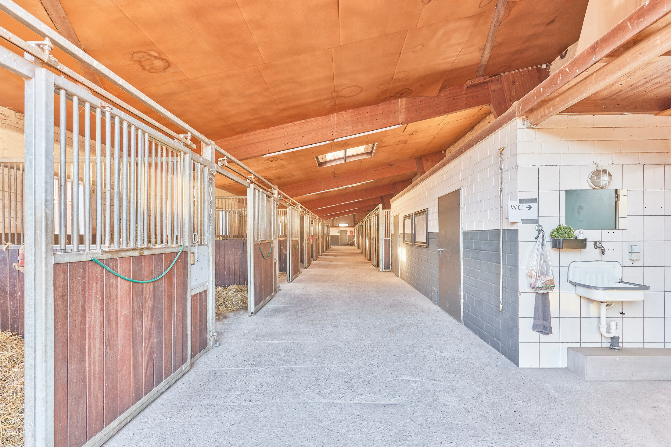 08 Stallgasse mit 13 Boxen