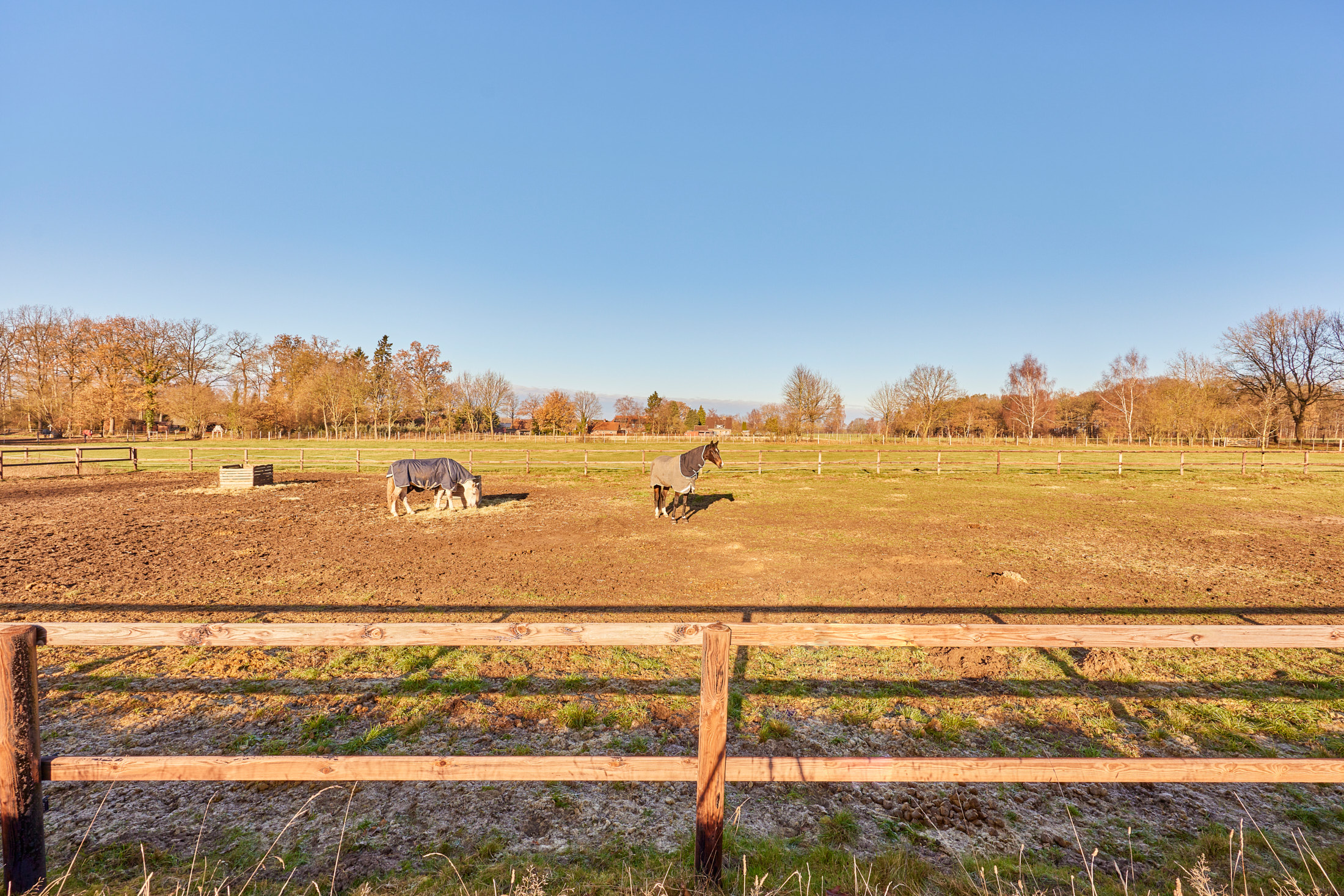 12 Koppeln & Paddocks