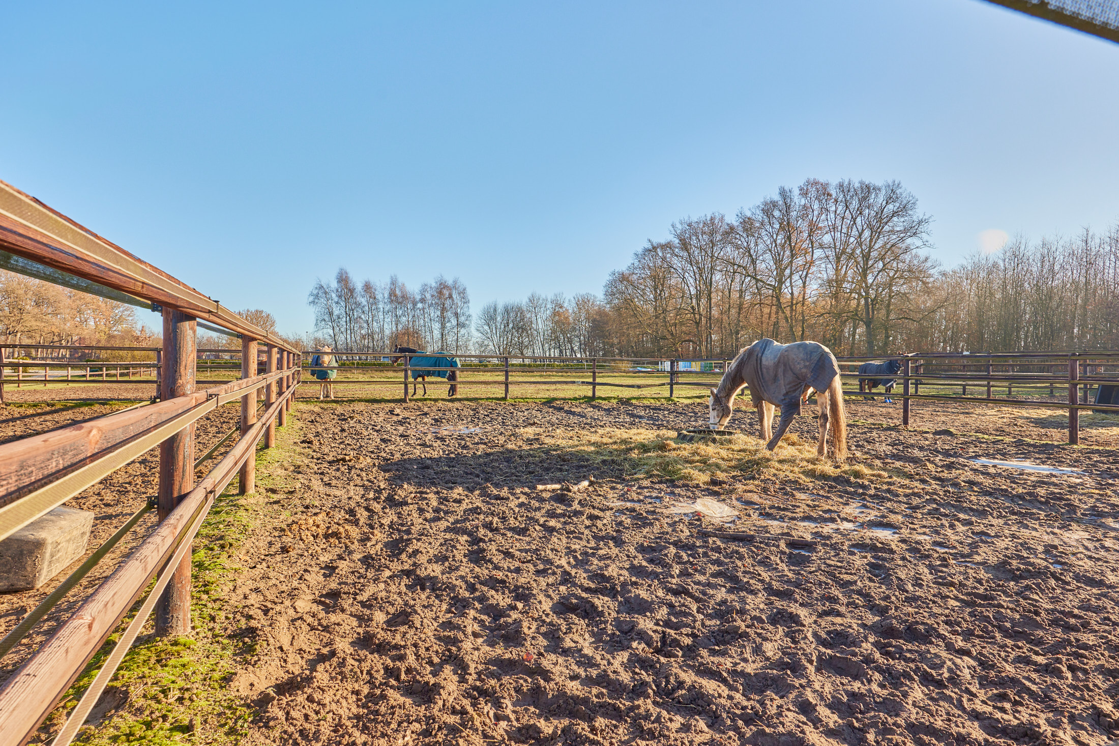 13 Koppeln und Paddocks