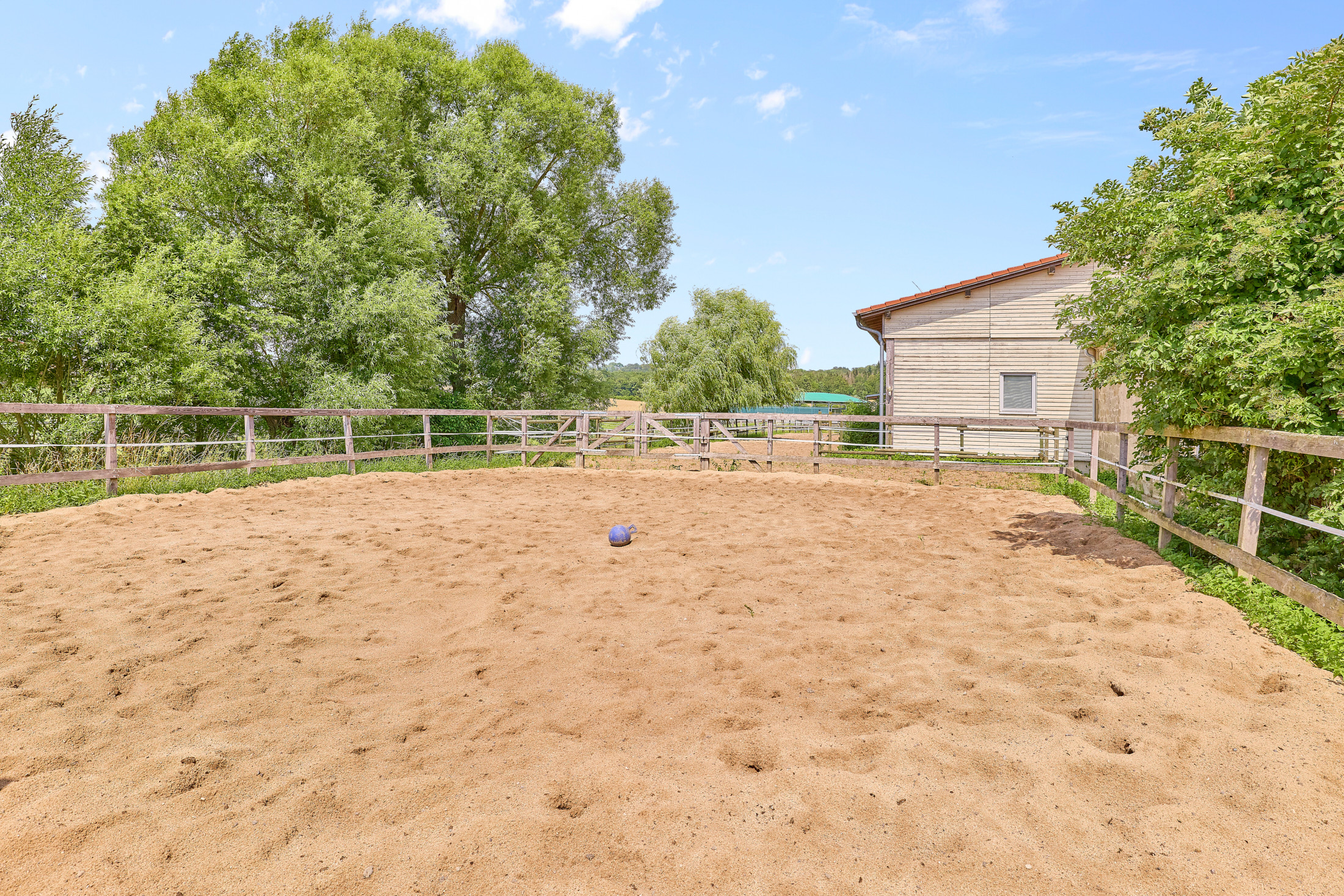 Reitanlage kaufen Bayern – mit gehobenem Wohnkomfort & umfassenden Trainingsbedingungen!