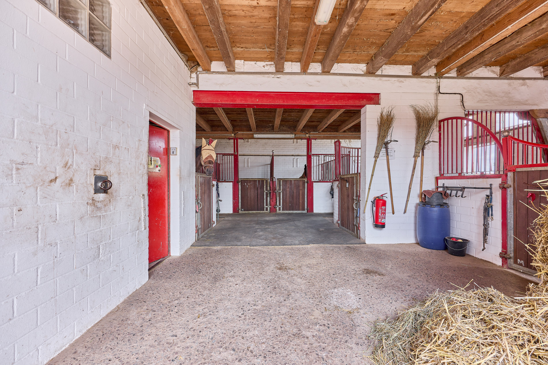 Reitanlage bei Hannover – 29 Pferdeboxen, professionelle Trainingsbedingungen & 4 Wohneinheiten!