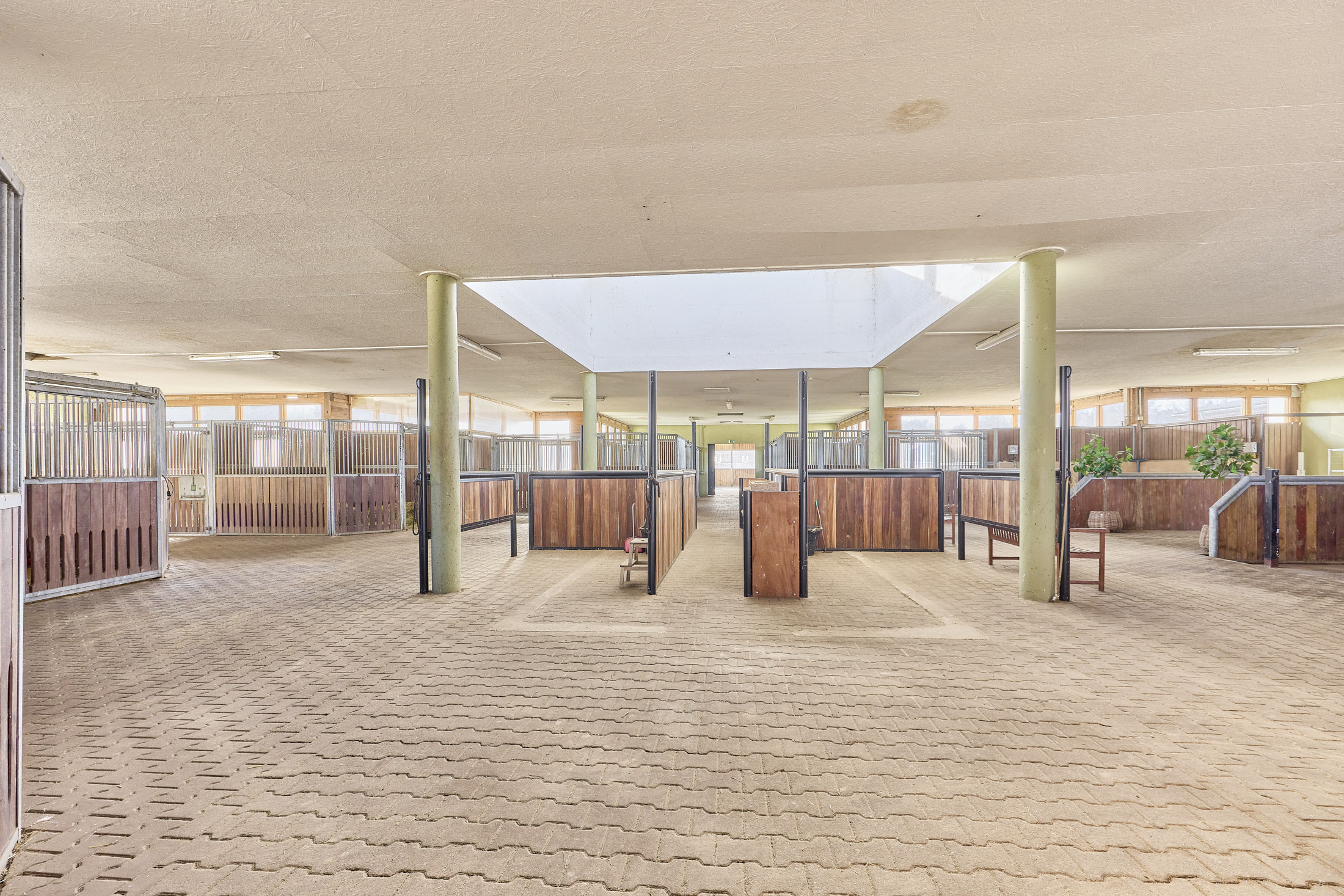 Reitanlage in Mecklenburg-Vorpommern – direkt an der Mecklenburgischen Seenplatte in einer touristischen Region!