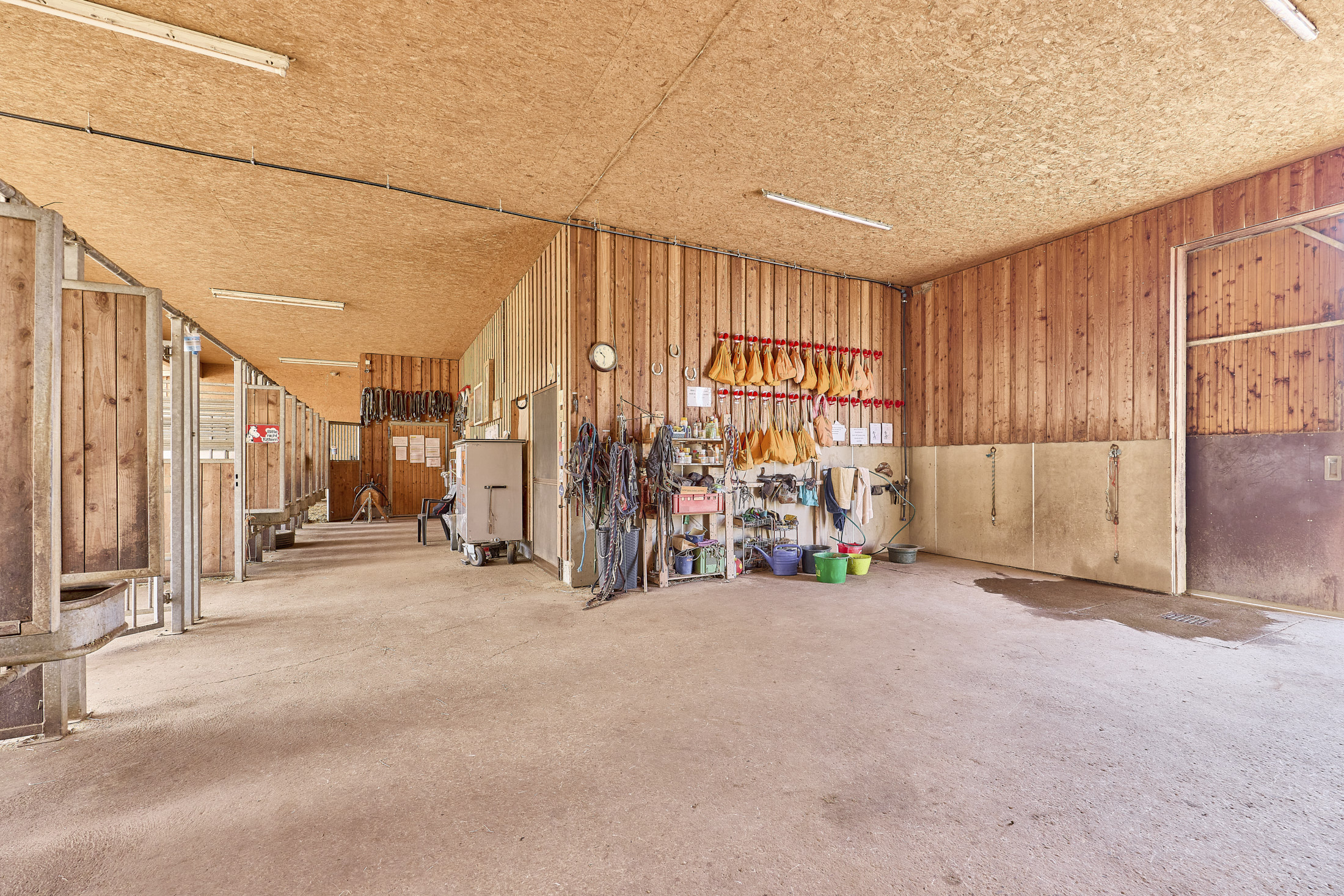 Reiterhof kaufen im Landkreis Kitzingen mit modernem Wohnhaus aus 2019 und Kapazität für 21 Pferde!