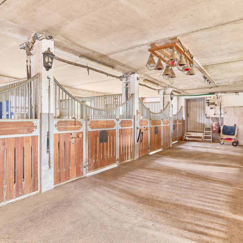 Reitanlage kaufen Bayern – mit gehobenem Wohnkomfort & umfassenden Trainingsbedingungen!