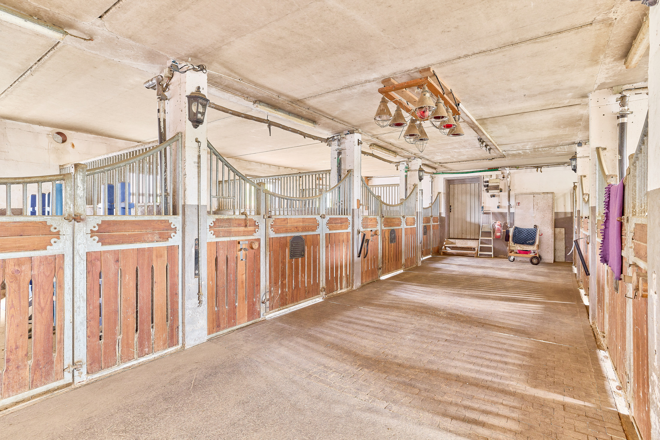 Reitanlage kaufen Bayern – mit gehobenem Wohnkomfort & umfassenden Trainingsbedingungen!