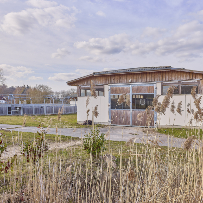 Reitanlage in Mecklenburg-Vorpommern – direkt an der Mecklenburgischen Seenplatte in einer touristischen Region!