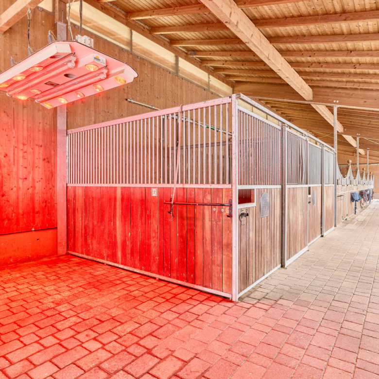 Reitanlage kaufen Bayern – mit gehobenem Wohnkomfort & umfassenden Trainingsbedingungen!