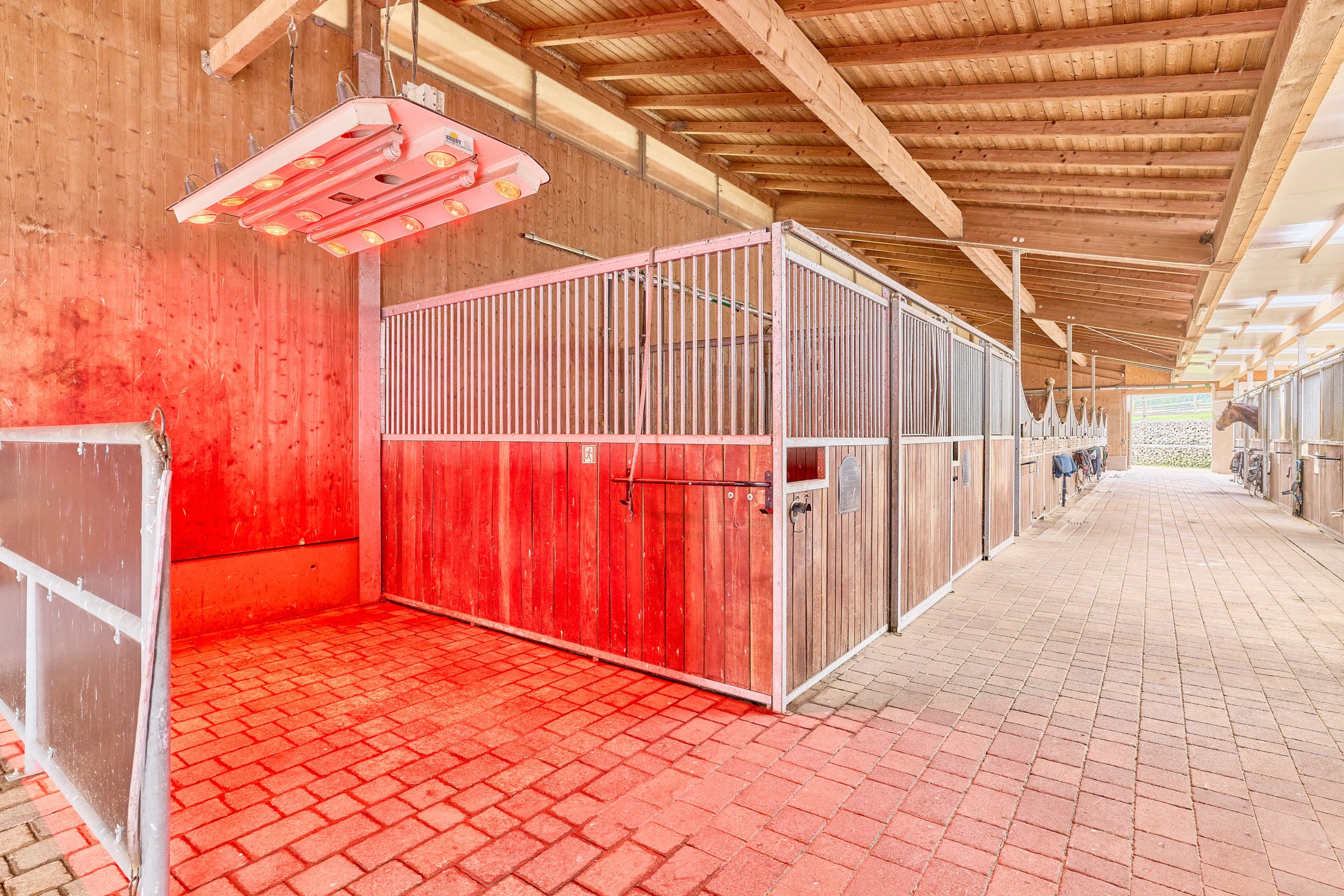Reitanlage kaufen Bayern – mit gehobenem Wohnkomfort & umfassenden Trainingsbedingungen!