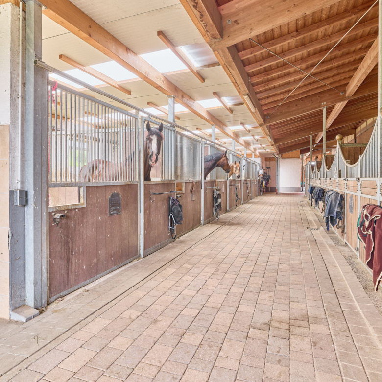 Reitanlage kaufen Bayern – mit gehobenem Wohnkomfort & umfassenden Trainingsbedingungen!