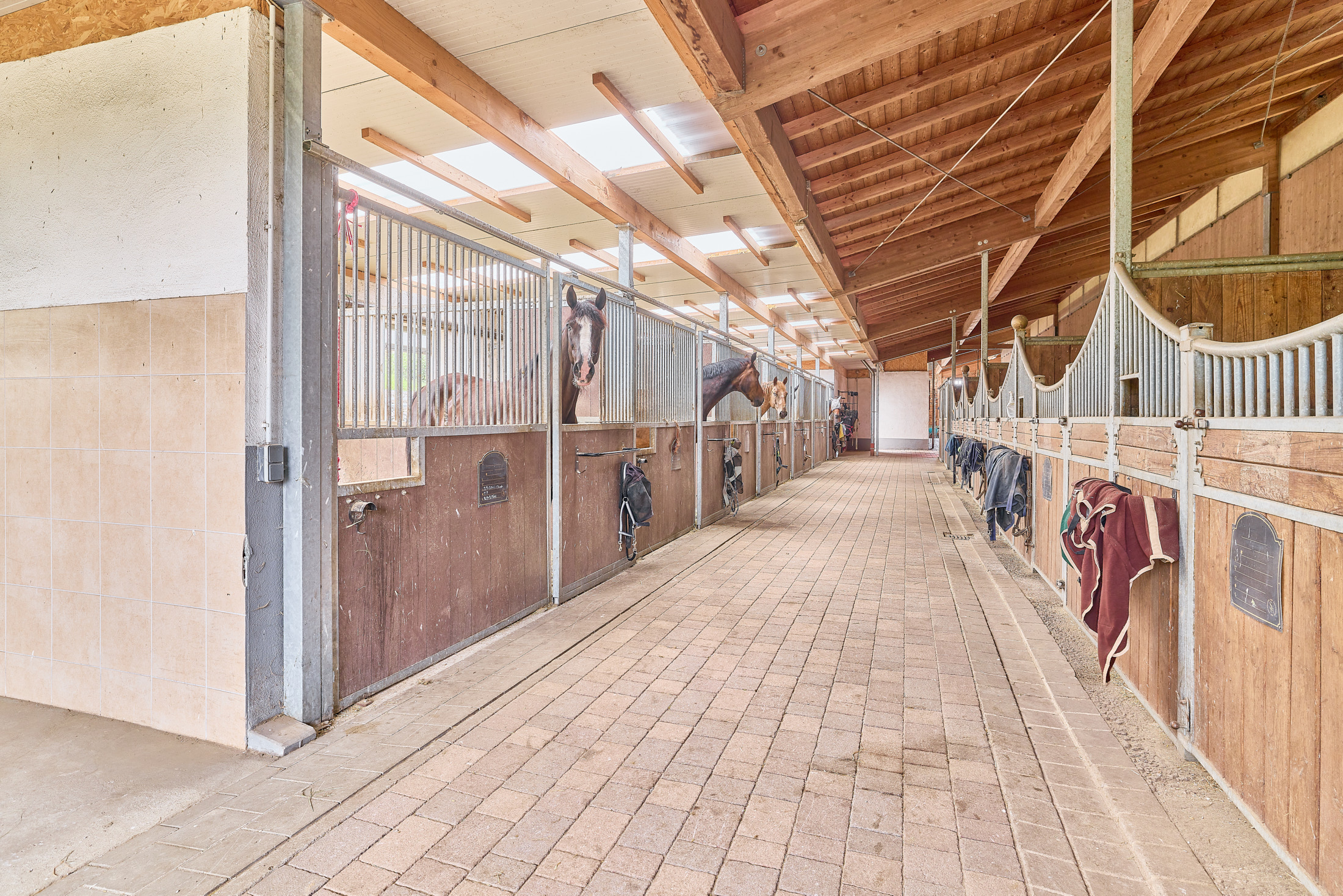 Reitanlage kaufen Bayern – mit gehobenem Wohnkomfort & umfassenden Trainingsbedingungen!