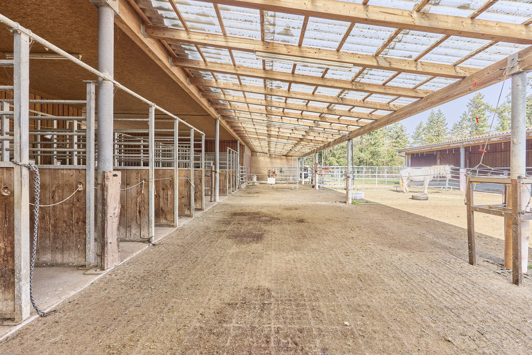 Reiterhof kaufen im Landkreis Kitzingen mit modernem Wohnhaus aus 2019 und Kapazität für 21 Pferde!