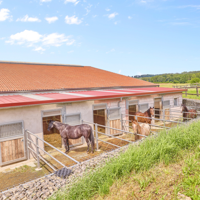 Reitanlage kaufen Bayern – mit gehobenem Wohnkomfort & umfassenden Trainingsbedingungen!