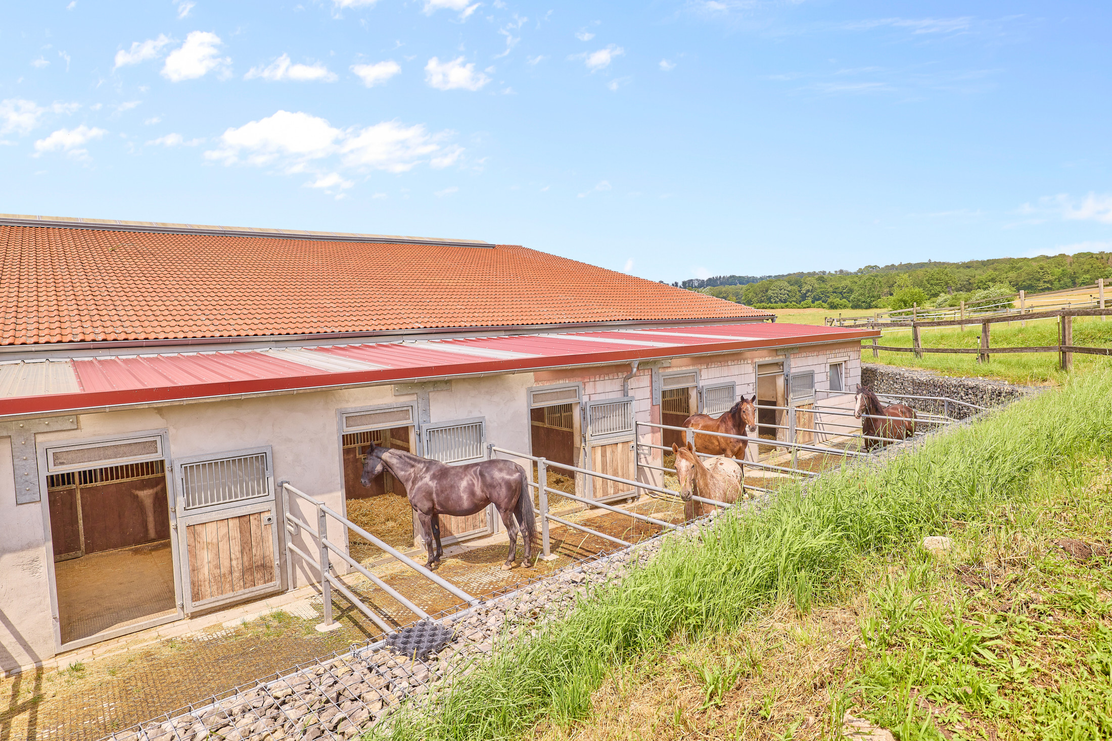 Reitanlage kaufen Bayern – mit gehobenem Wohnkomfort & umfassenden Trainingsbedingungen!
