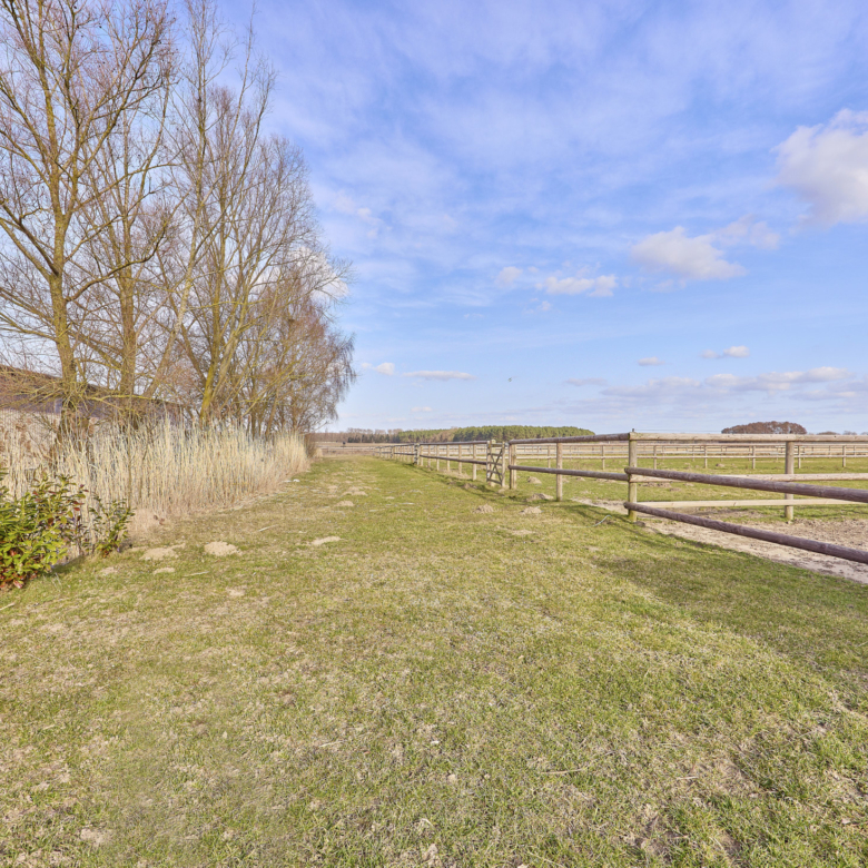 Reitanlage in Mecklenburg-Vorpommern – direkt an der Mecklenburgischen Seenplatte in einer touristischen Region!