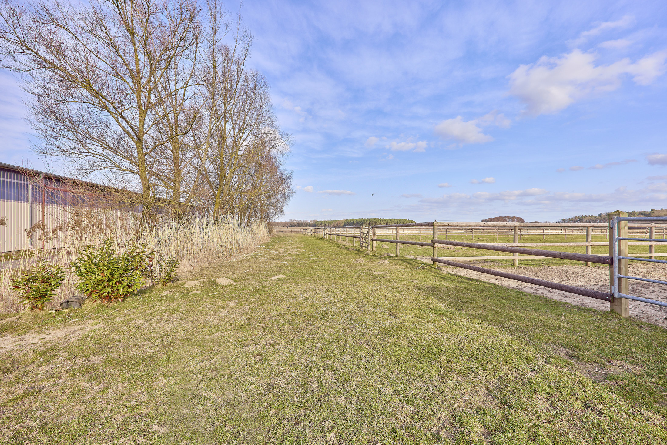Reitanlage in Mecklenburg-Vorpommern – direkt an der Mecklenburgischen Seenplatte in einer touristischen Region!