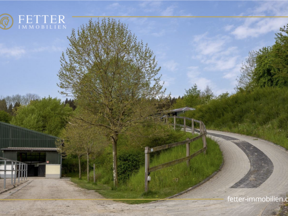 Reitanlage in Alleinlage bei St.Wendel zu verkaufen – fast 15 Hektar Land im Eigentum!