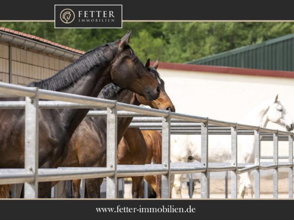Reitanlage in Alleinlage bei St.Wendel zu verkaufen – fast 15 Hektar Land im Eigentum!