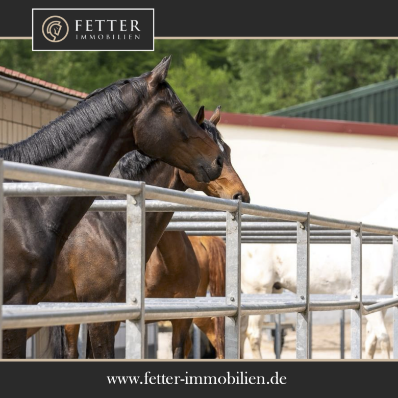 Reitanlage in Alleinlage bei St.Wendel zu verkaufen – fast 15 Hektar Land im Eigentum!