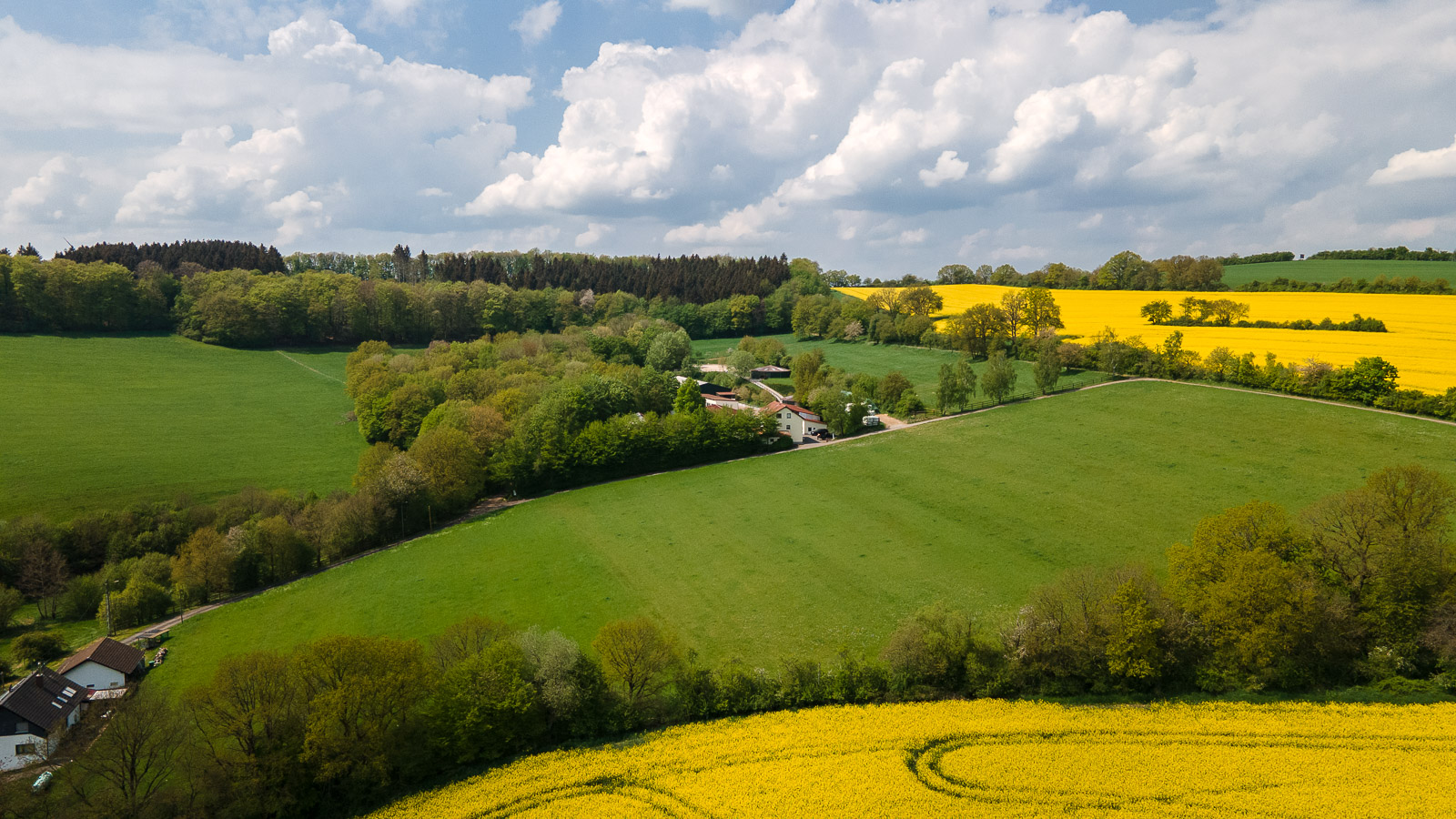 Reitanlage in Alleinlage bei St.Wendel zu verkaufen – fast 15 Hektar Land im Eigentum!