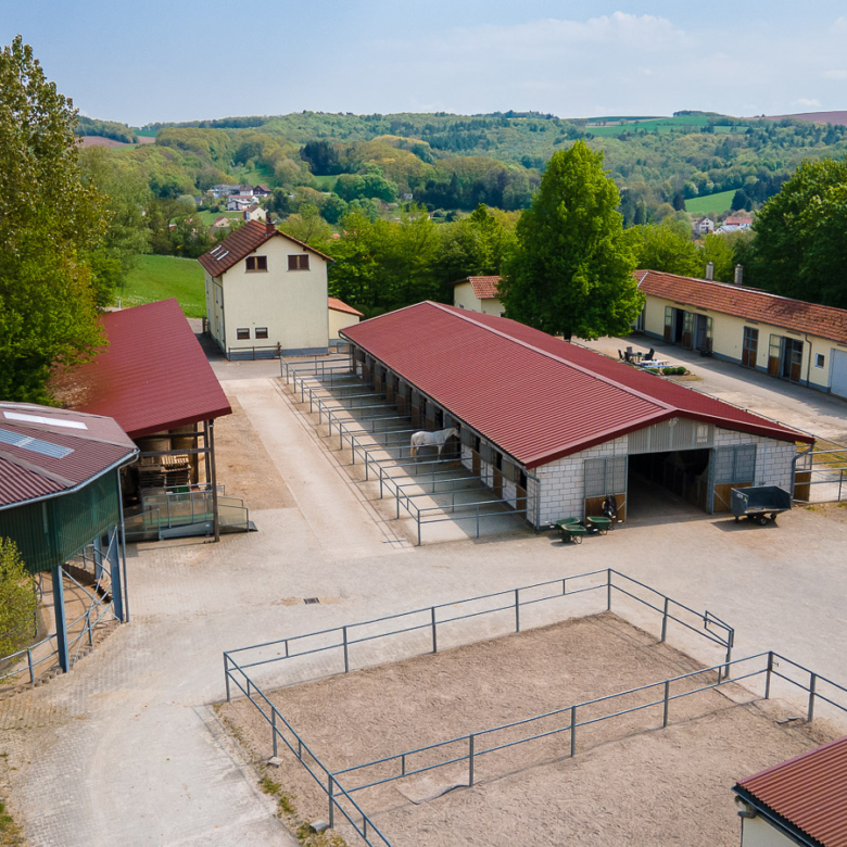 Reitanlage in Alleinlage bei St.Wendel zu verkaufen – fast 15 Hektar Land im Eigentum!