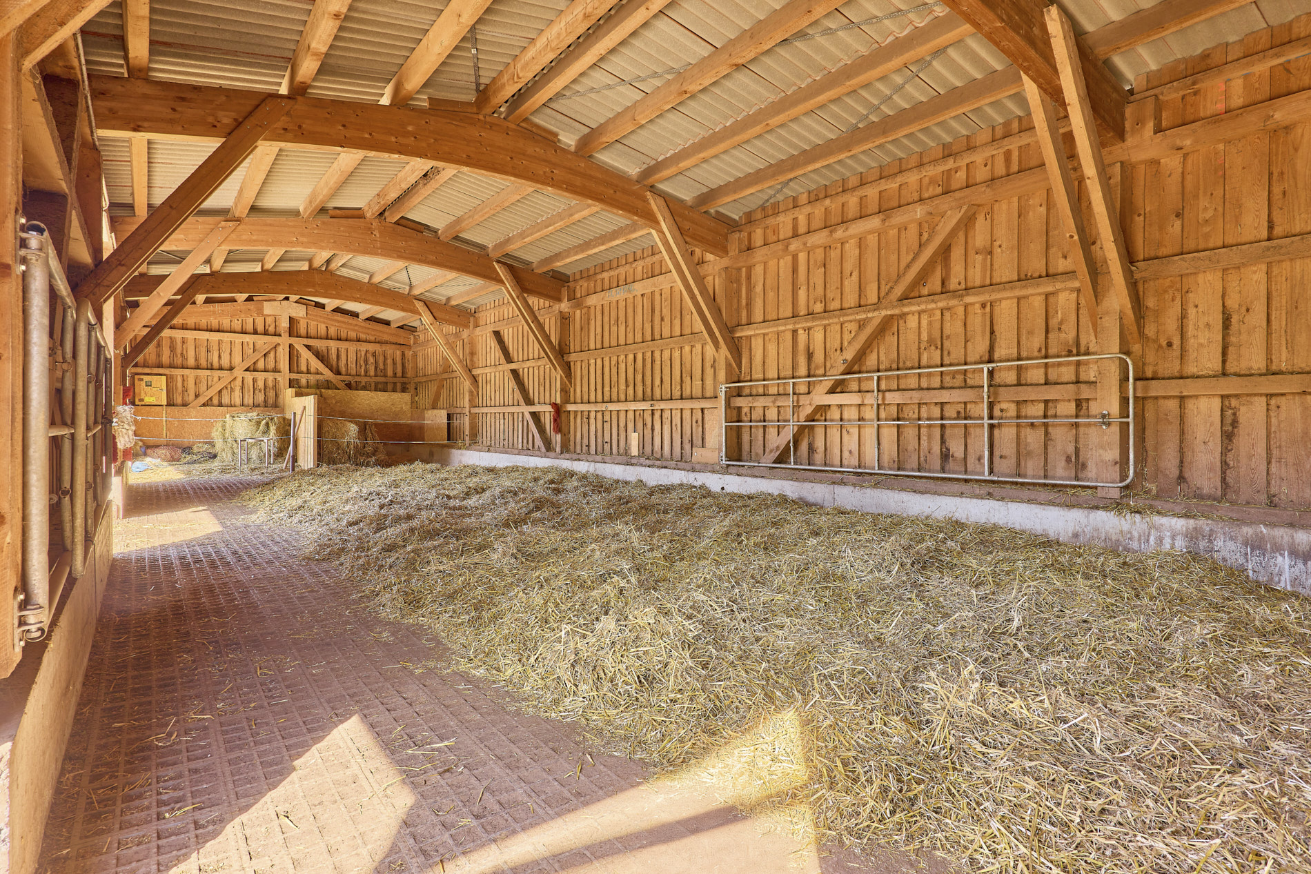 Reitanlage kaufen Rheinland-Pfalz – Moderne Reitanlage aus 2016 zwischen Alzey und Kaiserslautern zu verkaufen!