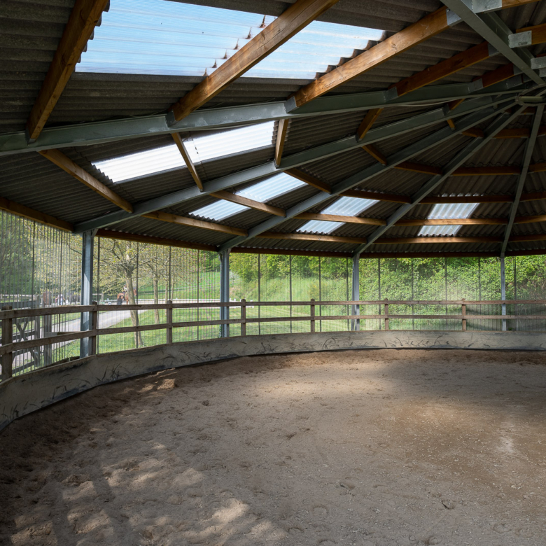 Reitanlage in Alleinlage bei St.Wendel zu verkaufen – fast 15 Hektar Land im Eigentum!