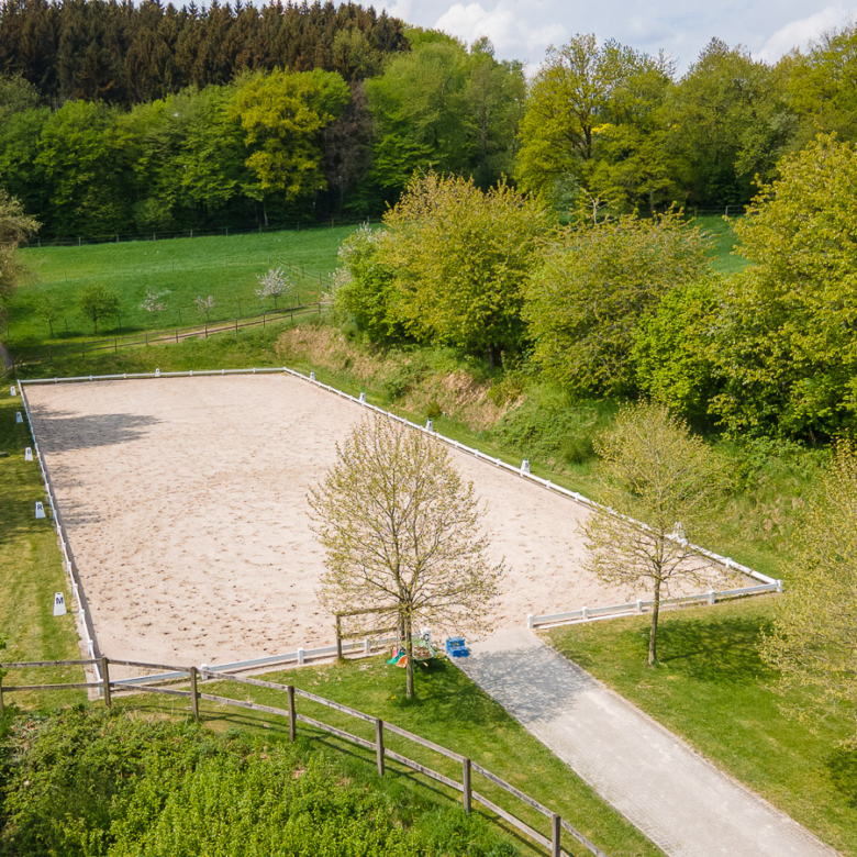 Reitanlage in Alleinlage bei St.Wendel zu verkaufen – fast 15 Hektar Land im Eigentum!