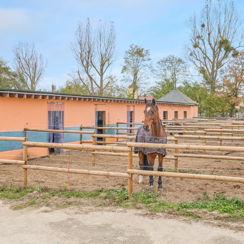 Reitanlage bei Berlin zu verkaufen – Platz für knapp 100 Pferde im Landkreis Havelland Schönwalde-Glien!