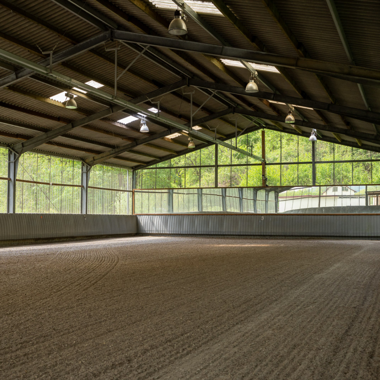 Reitanlage in Alleinlage bei St.Wendel zu verkaufen – fast 15 Hektar Land im Eigentum!