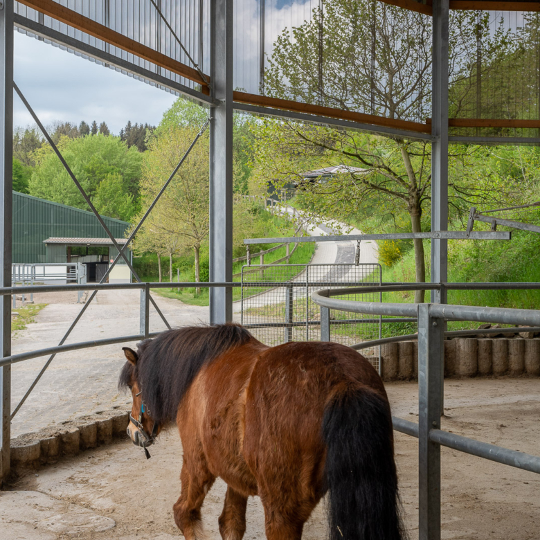 Reitanlage in Alleinlage bei St.Wendel zu verkaufen – fast 15 Hektar Land im Eigentum!