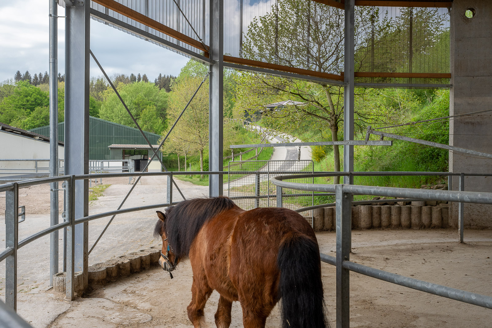 Reitanlage in Alleinlage bei St.Wendel zu verkaufen – fast 15 Hektar Land im Eigentum!