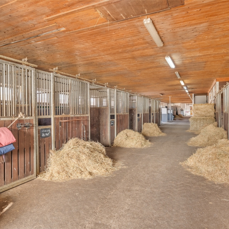 Reitanlage bei Berlin zu verkaufen – Platz für knapp 100 Pferde im Landkreis Havelland Schönwalde-Glien!