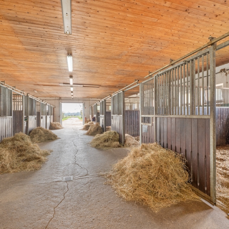 Reitanlage bei Berlin zu verkaufen – Platz für knapp 100 Pferde im Landkreis Havelland Schönwalde-Glien!