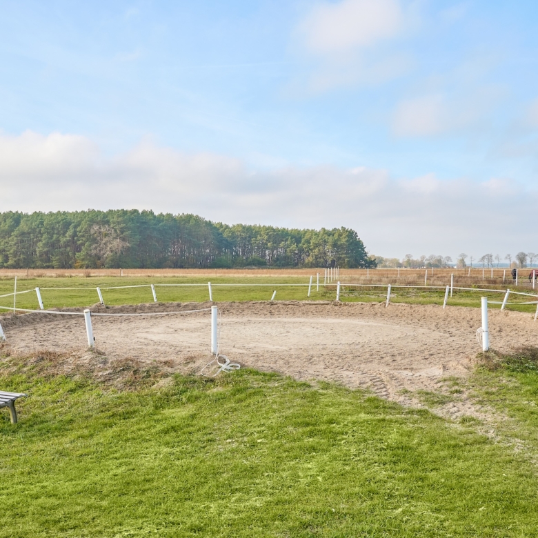 Reitanlage bei Berlin zu verkaufen – Platz für knapp 100 Pferde im Landkreis Havelland Schönwalde-Glien!