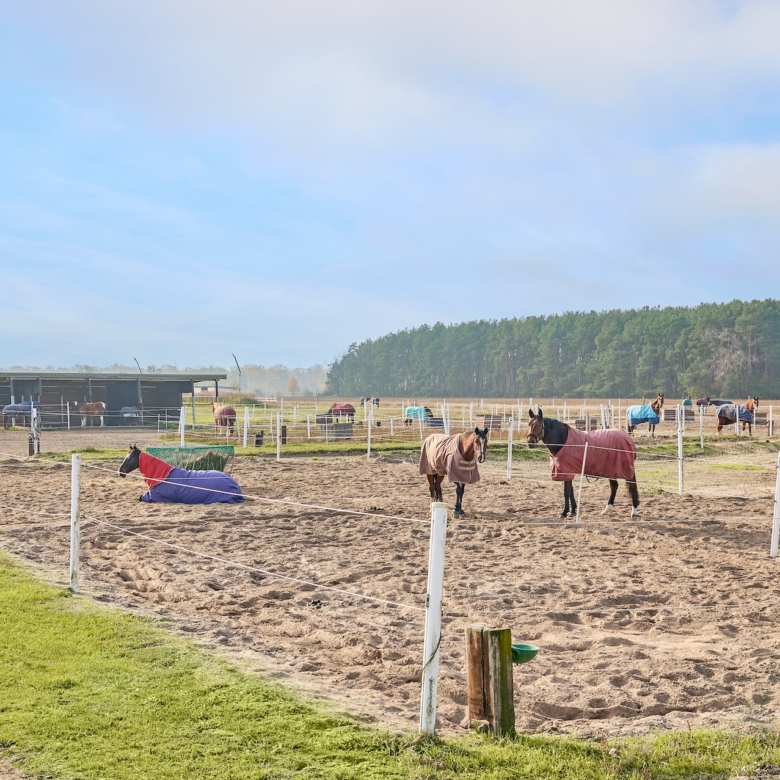 Reitanlage bei Berlin zu verkaufen – Platz für knapp 100 Pferde im Landkreis Havelland Schönwalde-Glien!