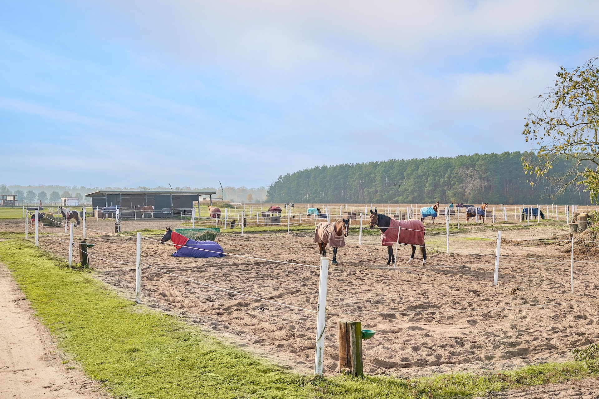 Reitanlage bei Berlin zu verkaufen – Platz für knapp 100 Pferde im Landkreis Havelland Schönwalde-Glien!