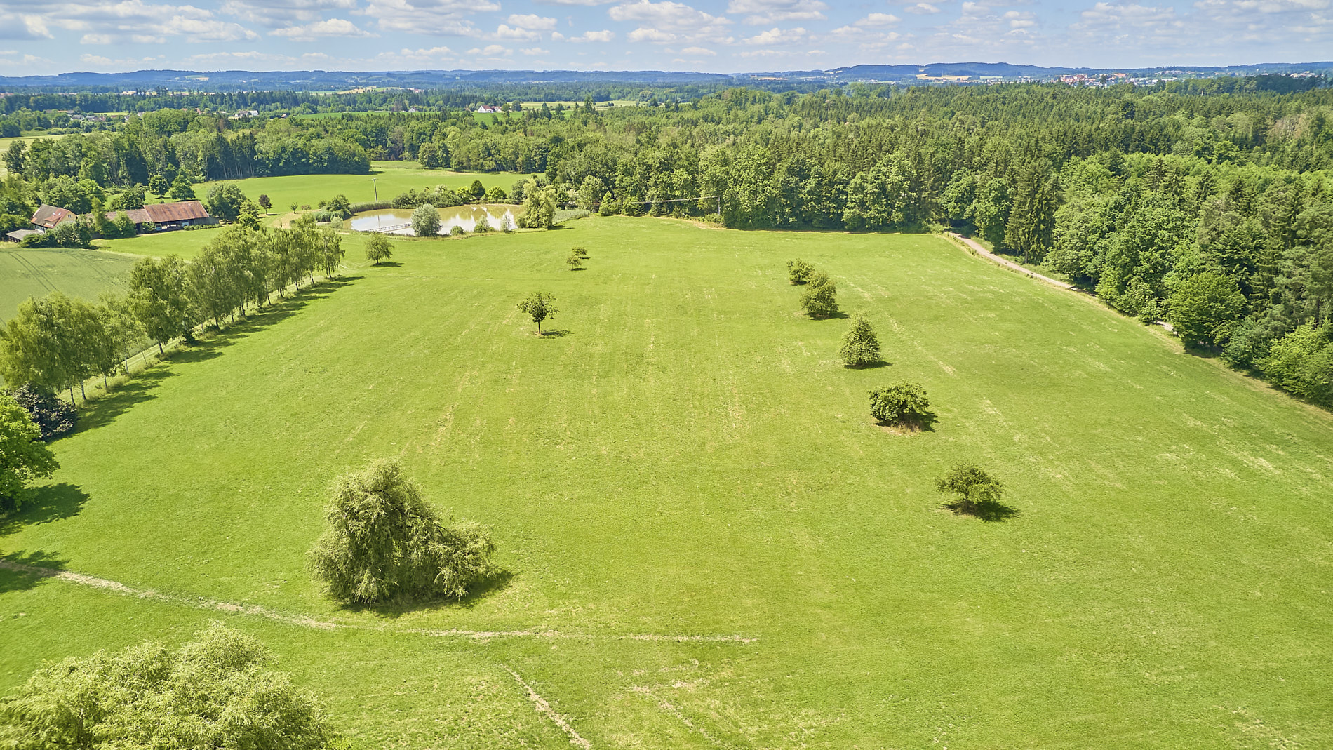 Private Pferdeimmobilie im Landkreis Ravensburg mit mehreren Wohnhäusern & See-Zugang!