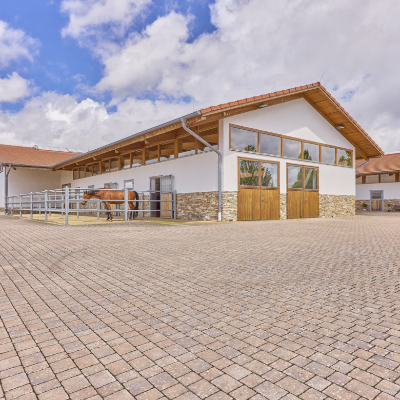 Luxuriöse Villa mit Reitanlage in der Nähe von Fulda in Hessen – Wellness, Reitsport & Lebensgefühl inklusive!