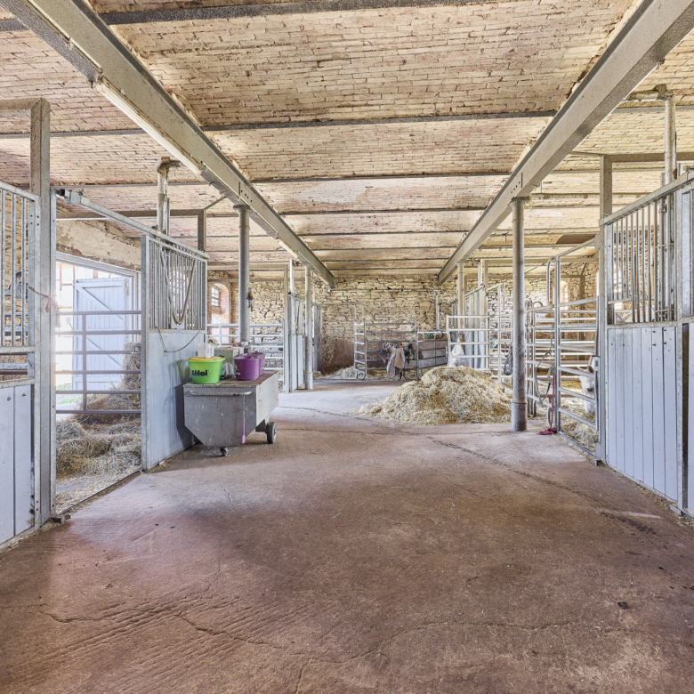Reitanlage bei Wolfsburg mit Platz für rund 18 Pferde zu verkaufen!