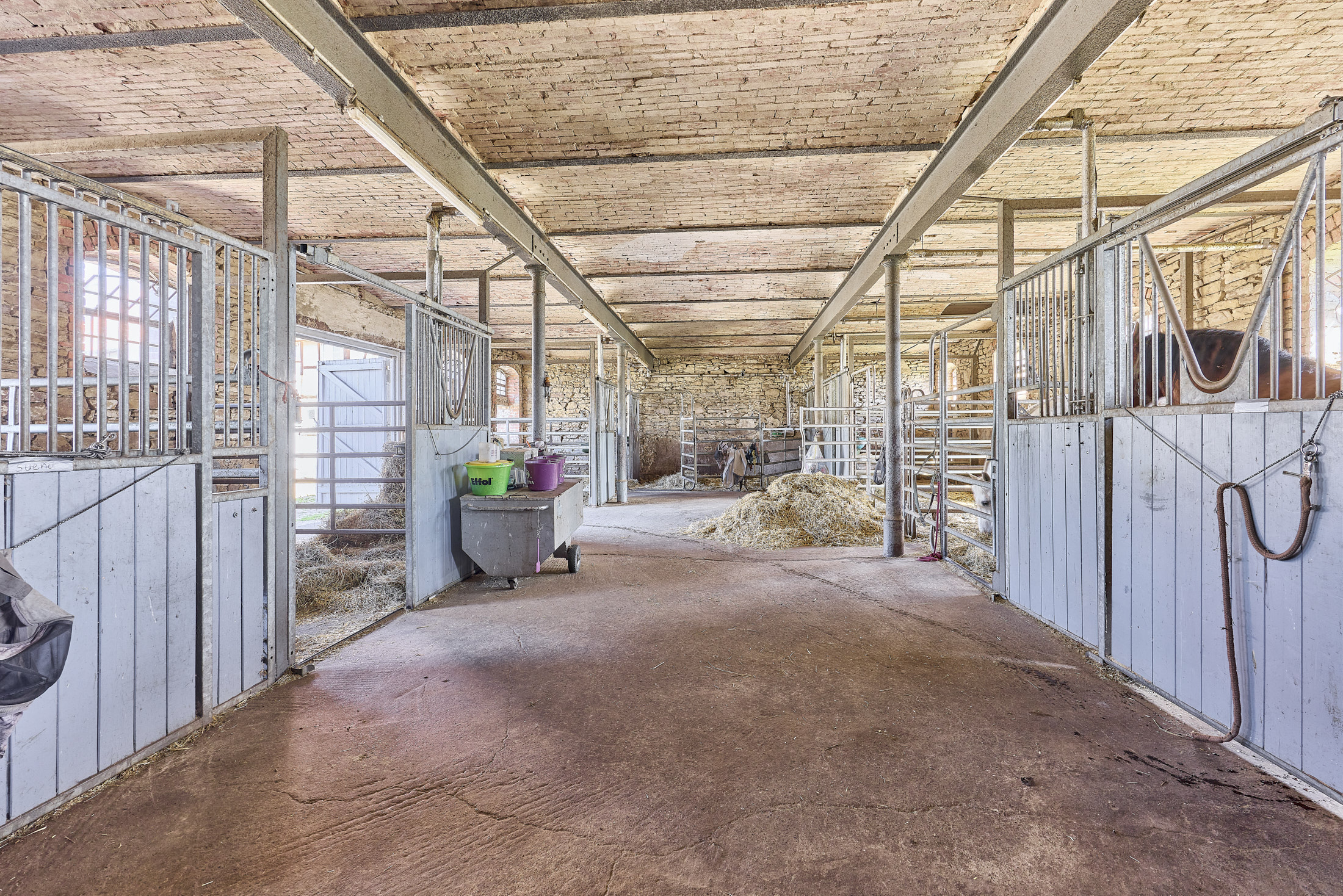 Reitanlage bei Wolfsburg mit Platz für rund 18 Pferde zu verkaufen!