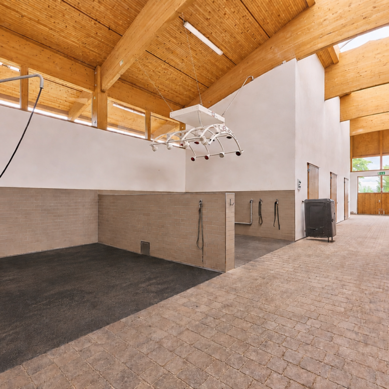 Luxuriöse Villa mit Reitanlage in der Nähe von Fulda in Hessen – Wellness, Reitsport & Lebensgefühl inklusive!