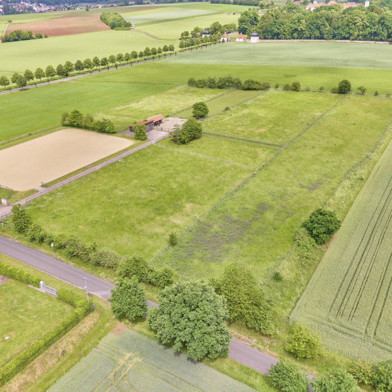 Luxuriöse Villa mit Reitanlage in der Nähe von Fulda in Hessen – Wellness, Reitsport & Lebensgefühl inklusive!